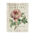 Trademark Fine Art Sue Schlabach 'Pivoine De Printemps' Canvas Art, 14x19 WAP08356-C1419GG